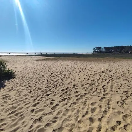 Neuf Au Coeur De La Presqu'ile 公寓 Lège-Cap-Ferret